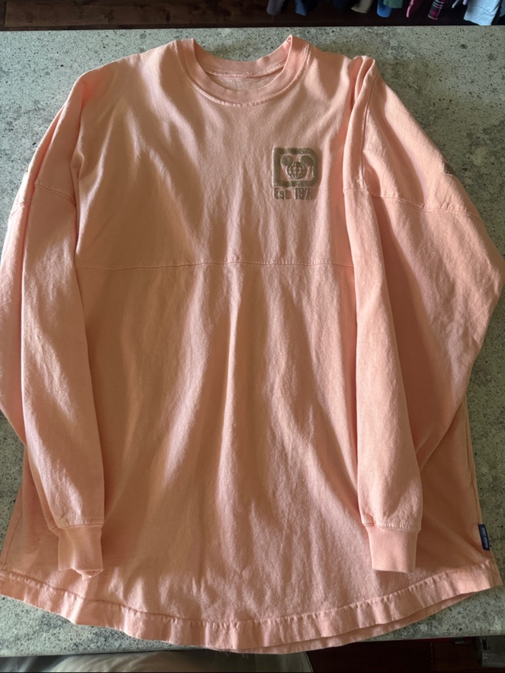 Disney Spirit Jersey